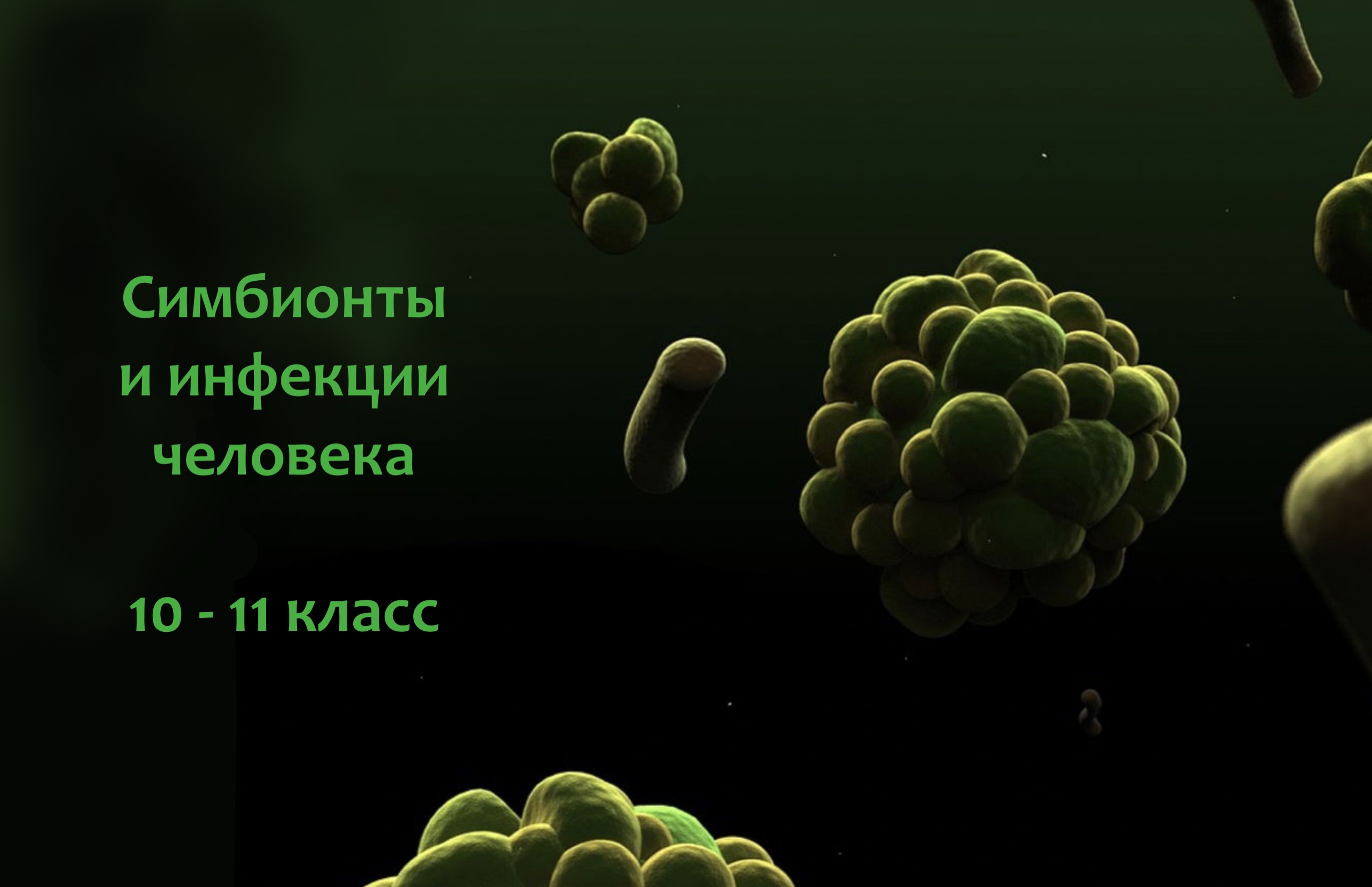 Симбионты и инфекции человека Симбионты и инфекции человека